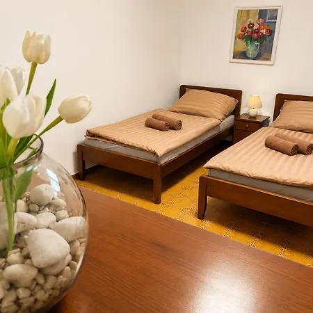 فيلة Vila Rogoznica *